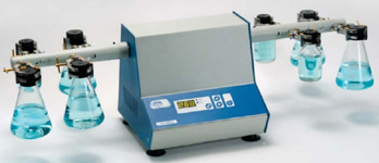 西班牙selecta,搖床